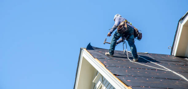 Best Roof Gutter Cleaning  in Mclendon Chisholm, TX
